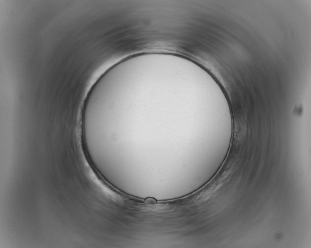 X0000097591387200803141845