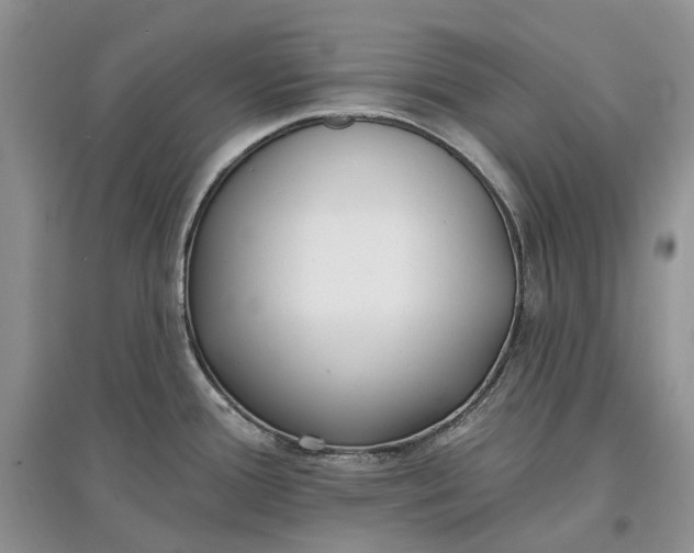 X0000097591388200803141845