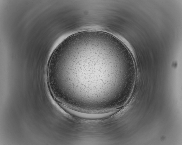 X0000097591389200803141845