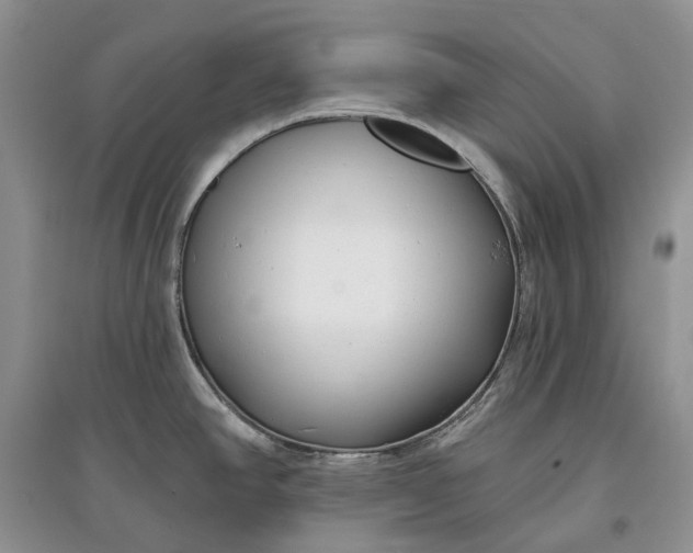 X0000097591390200803141845