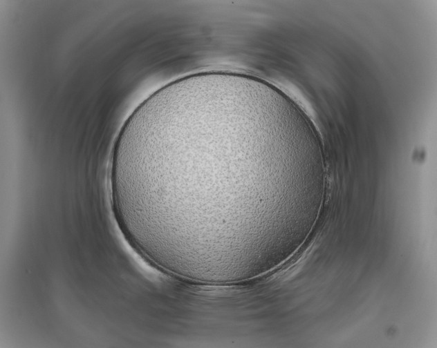 X0000097591391200803141845