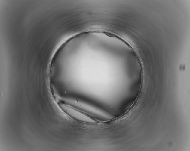 X0000097591392200803141845