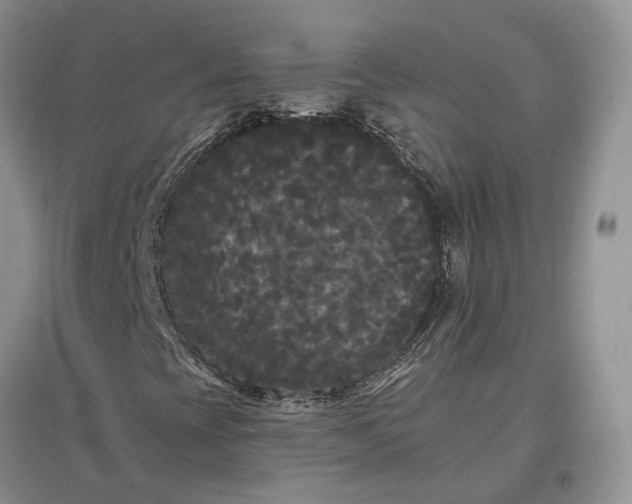 X0000097591393200803141844