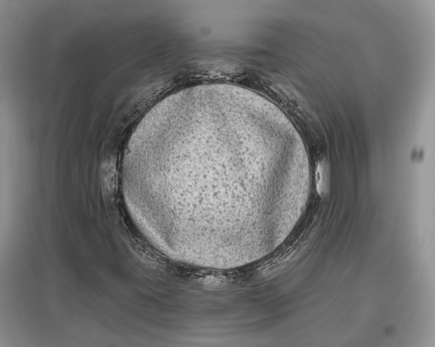 X0000097591395200803141844