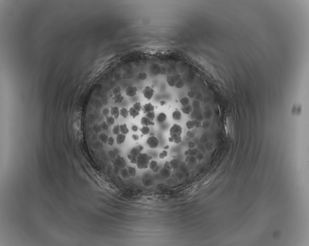 X0000097591396200803141844