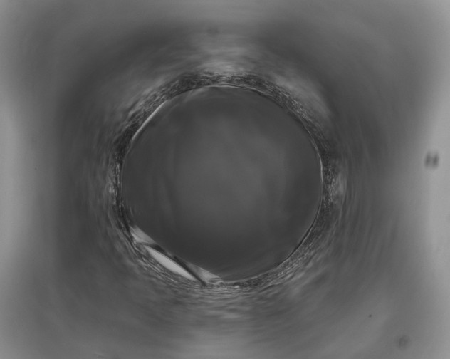 X0000097591397200803141844