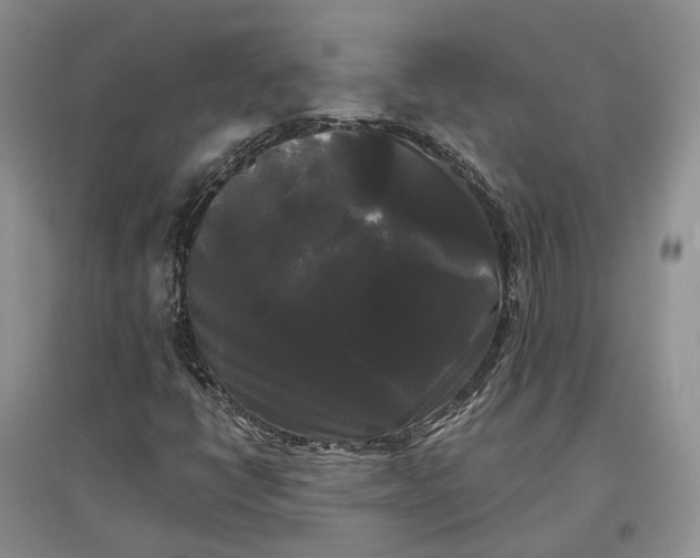 X0000097591398200803141844