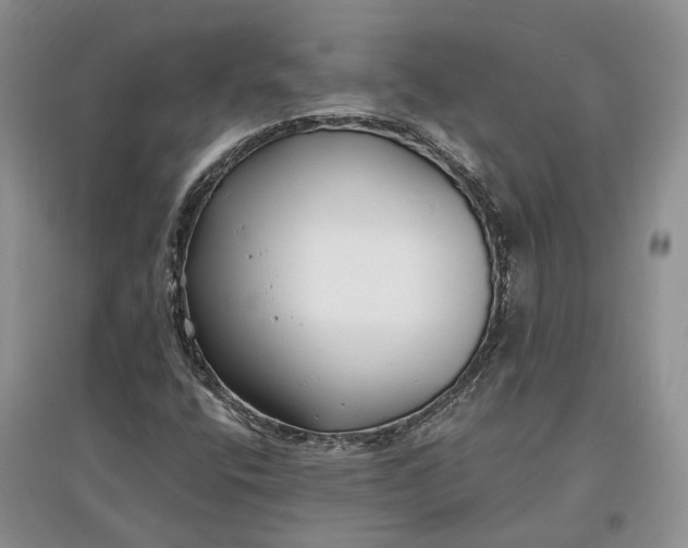 X0000097591400200803141844