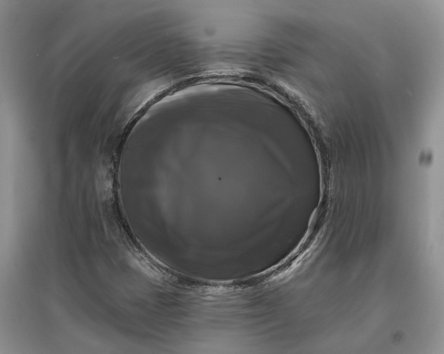 X0000097591401200803141844