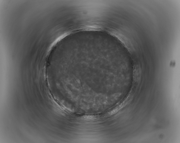 X0000097591402200803141844