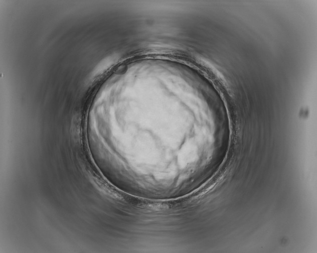 X0000097591403200803141844