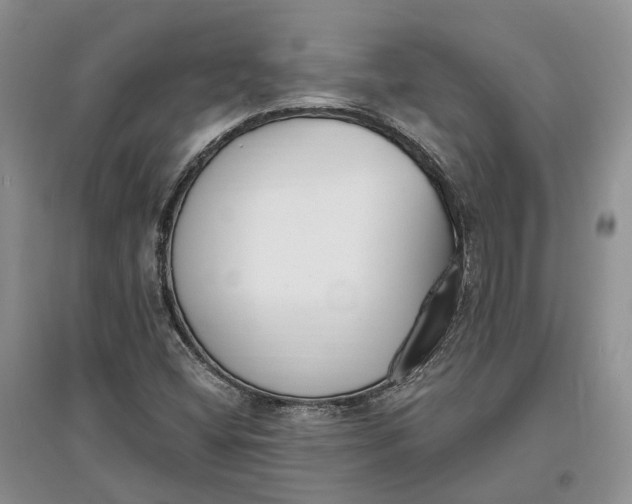 X0000097591404200803141844