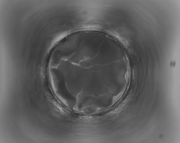 X0000097591405200803141844