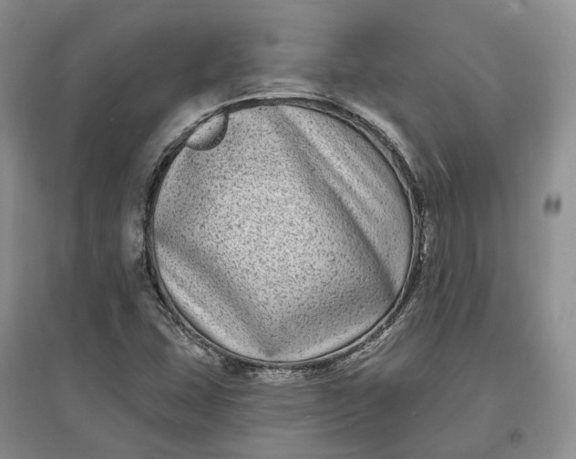 X0000097591407200803141844