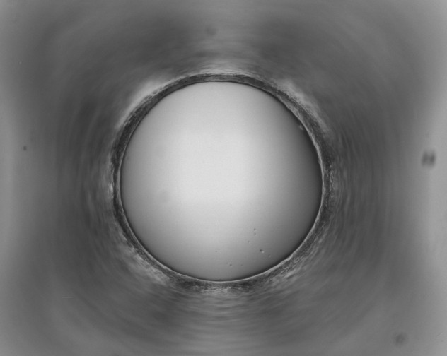 X0000097591408200803141844