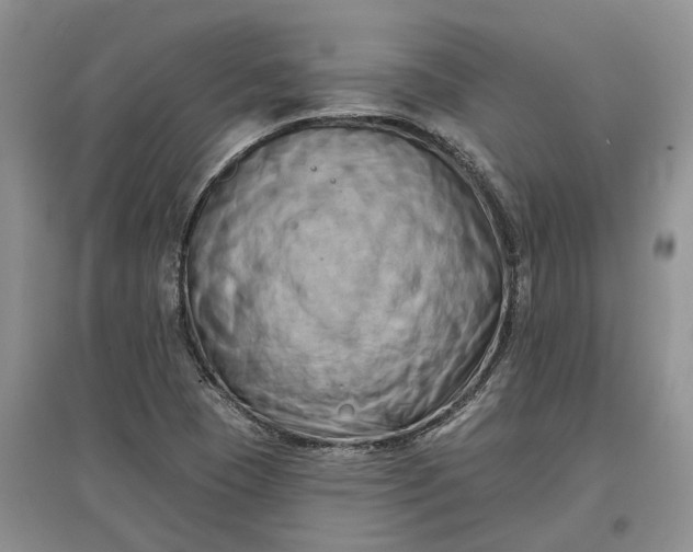 X0000097591409200803141844