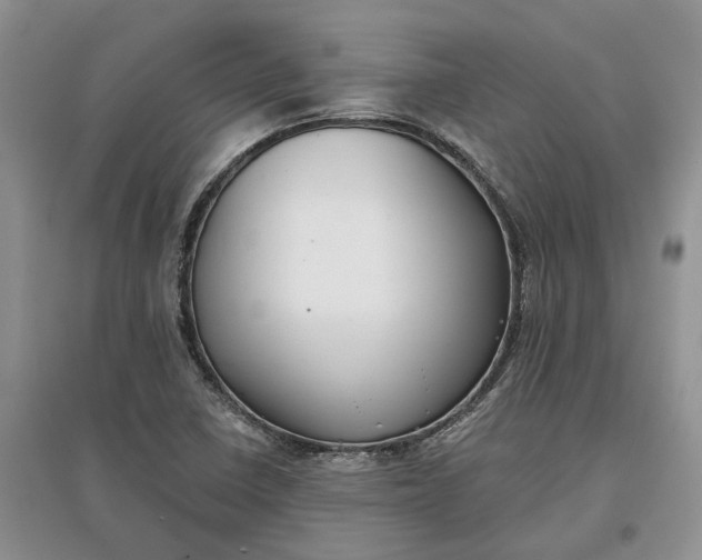 X0000097591410200803141844