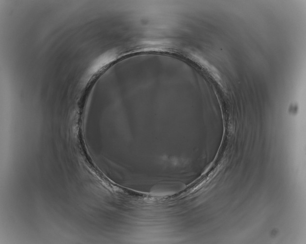 X0000097591411200803141844