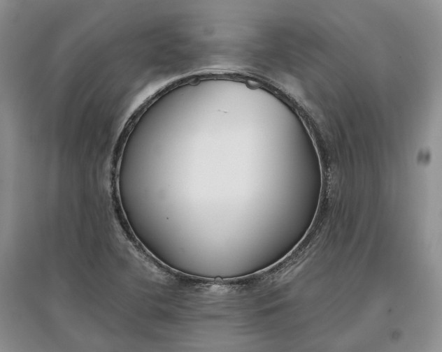 X0000097591412200803141844