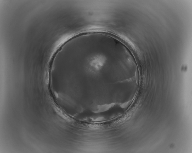 X0000097591413200803141844