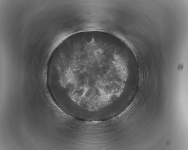 X0000097591415200803141845