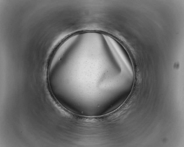 X0000097591416200803141845