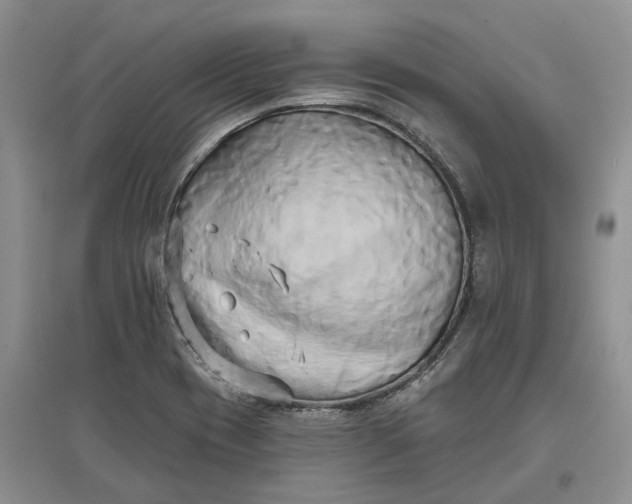 X0000097591417200803141845