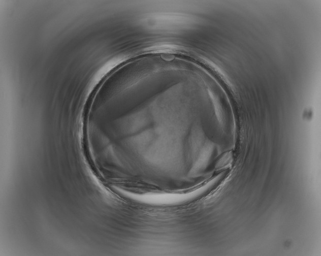 X0000097591418200803141845