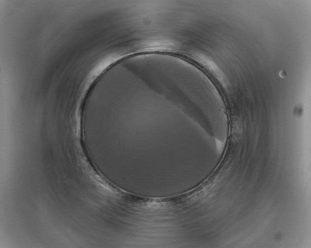 X0000097591419200803141845