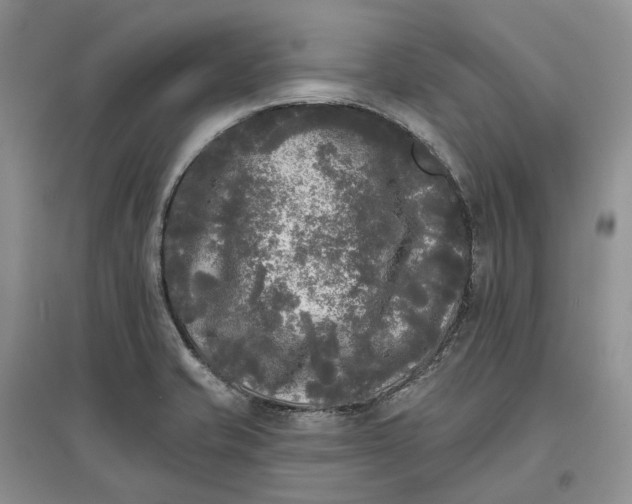 X0000097591421200803141845