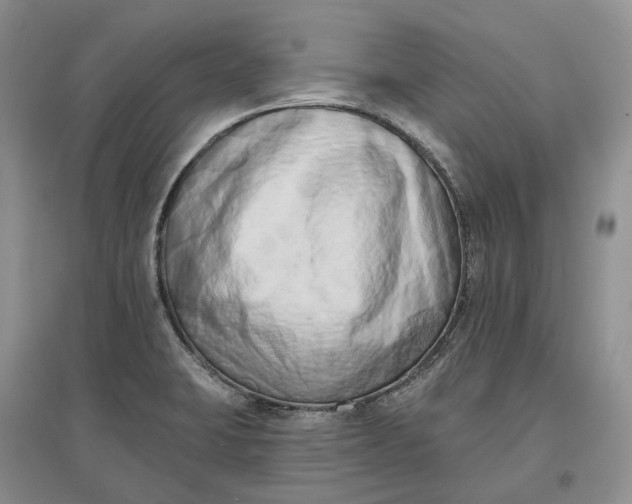 X0000097591423200803141845