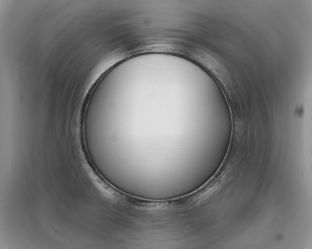 X0000097591426200803141845