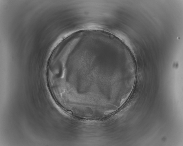 X0000097591429200803141845