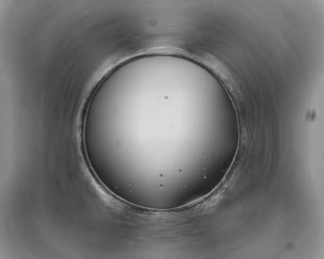 X0000097591430200803141845