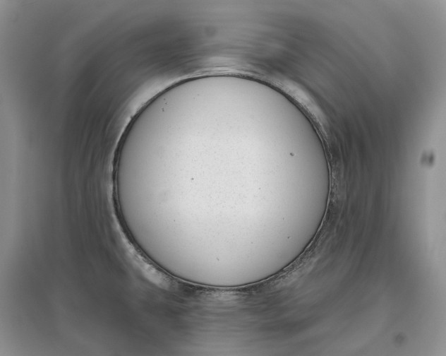 X0000097591431200803141845