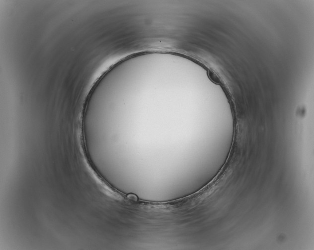 X0000097591432200803141845