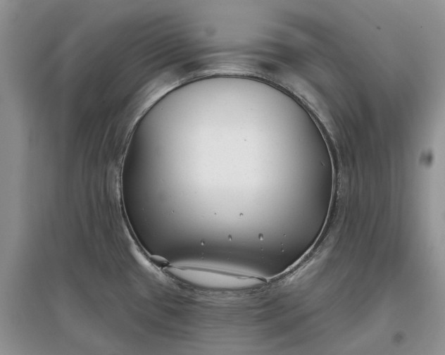 X0000097591433200803141845