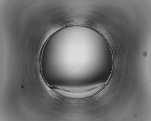 X0000097591434200803141845