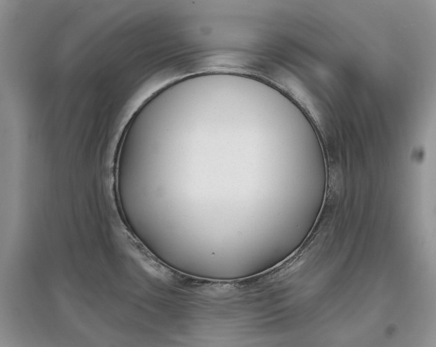 X0000097591435200803141845