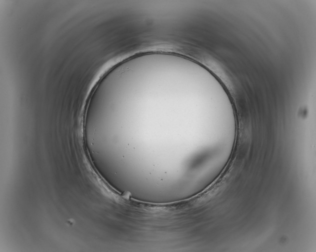 X0000097591436200803141845