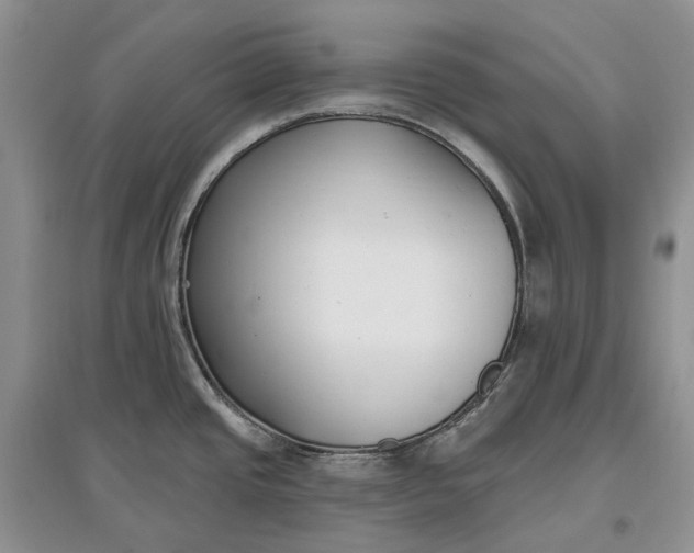 X0000097591437200803141845