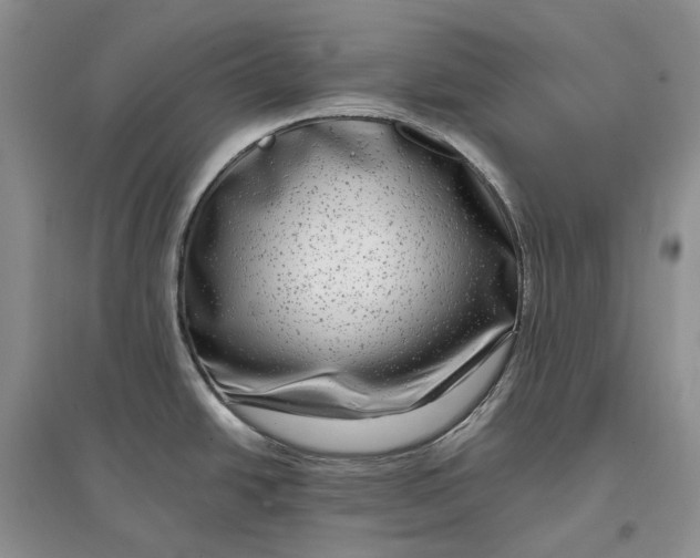 X0000097591438200803141845