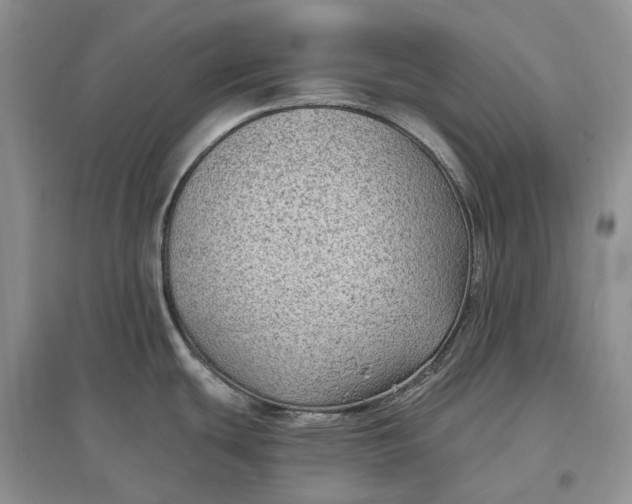 X0000097591439200803141845