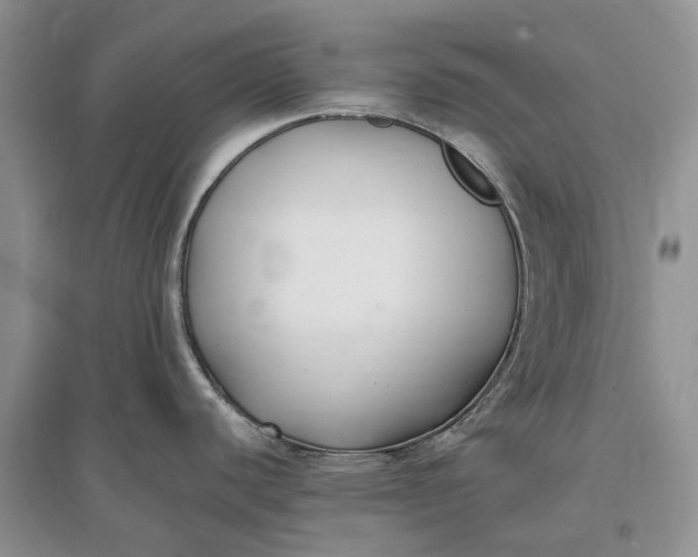 X0000097591440200803141845