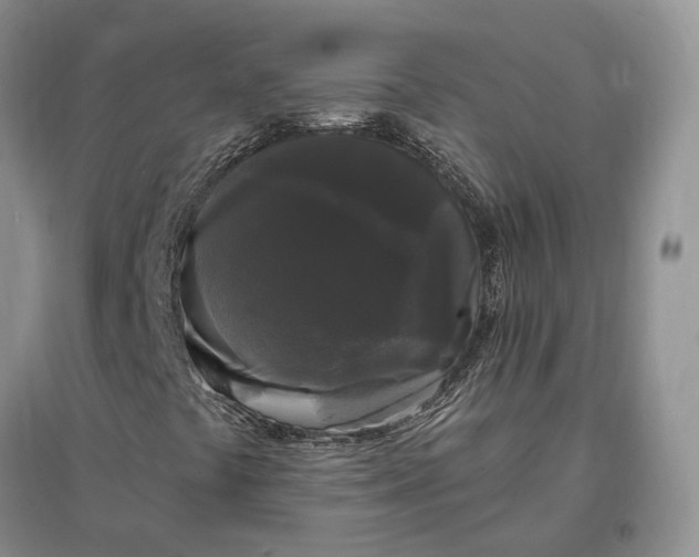 X0000097591441200803141844