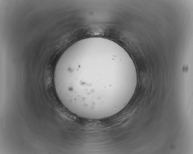 X0000097591442200803141844