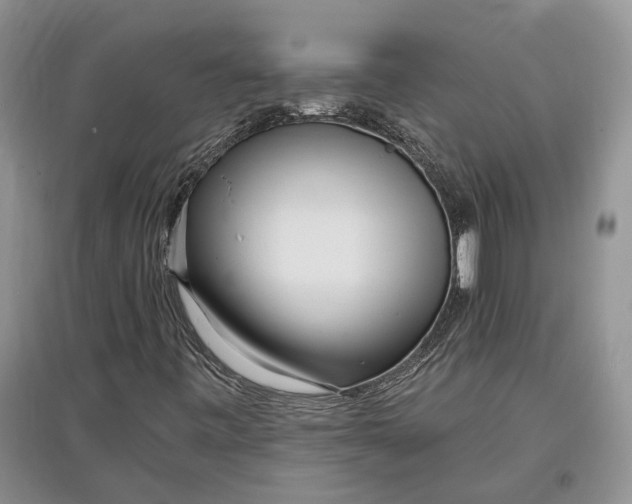 X0000097591443200803141844