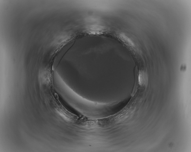 X0000097591444200803141844