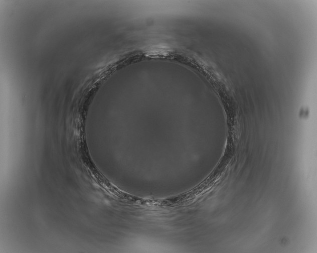 X0000097591445200803141844