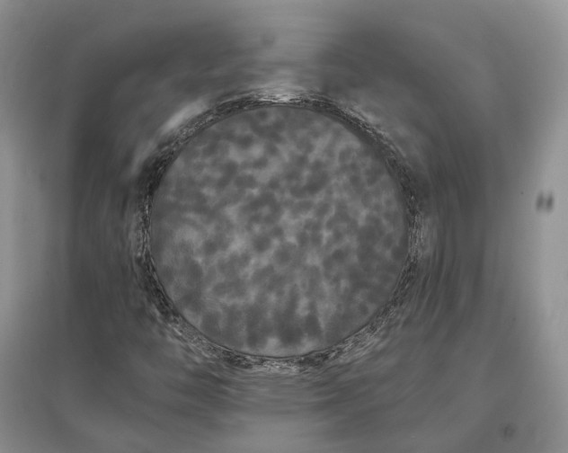 X0000097591446200803141844